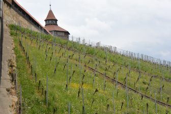 Alemania, Esslingen am Neckar