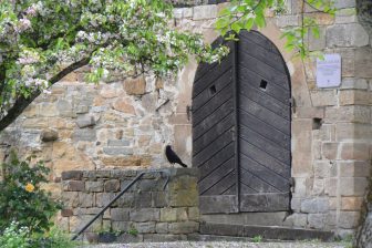 Esslingen 2025 (37)