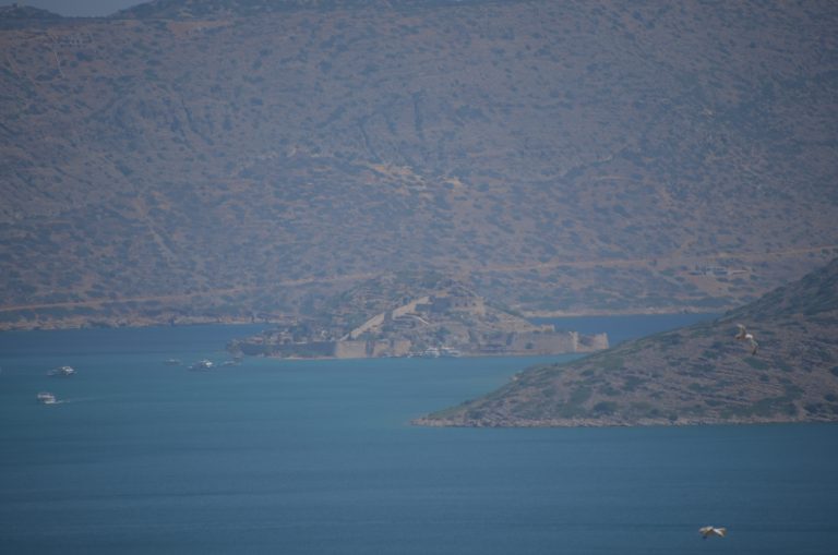 Agios Nikolaos 2025 (18) (Crete)