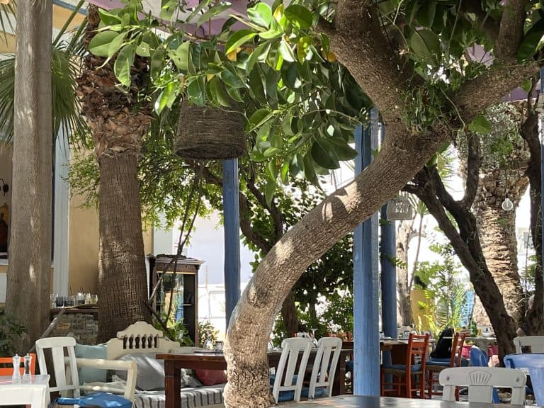 Agios Nikolaos 2025 (30) (Crete)