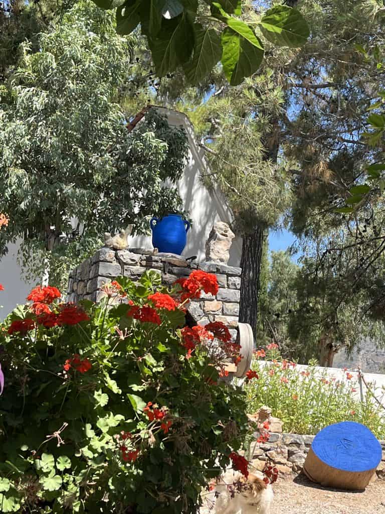 Creta tour 2025 (16)