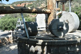 オリーブ油の工場見学