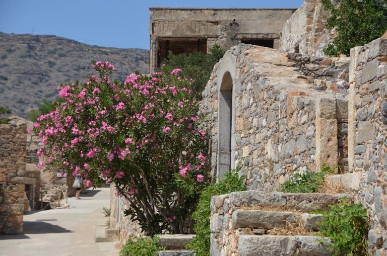 Spinalonga 2025 (9)