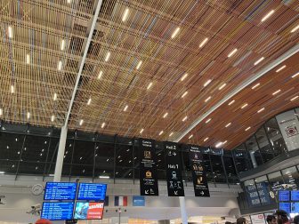 リヨンへ、列車の旅