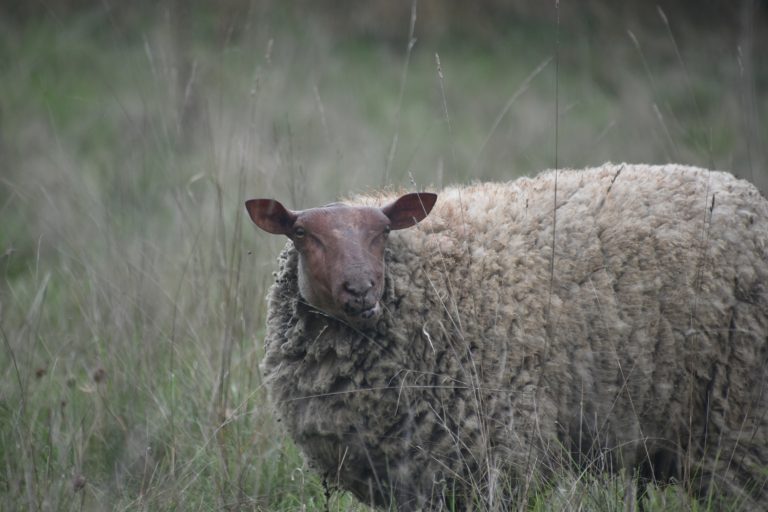 The day I lost faith in AI