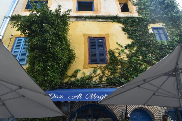 Today’s lunch and the mystery of the plate