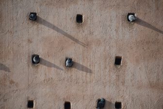 the wall and the pigeons at the site of Hassan Tower in Rabat, Morocco