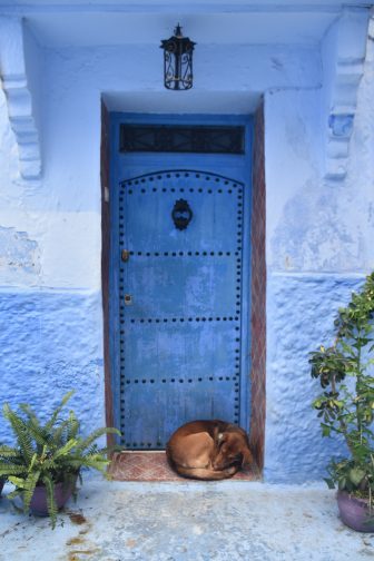 Chefchaouen 2025 evening (6)