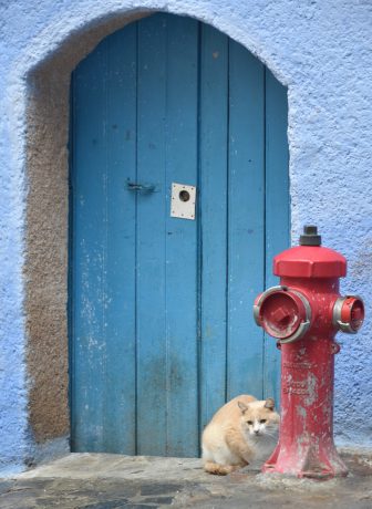 Chefchaouen 2025 evening (6)