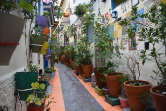 Accompanied by a local guide