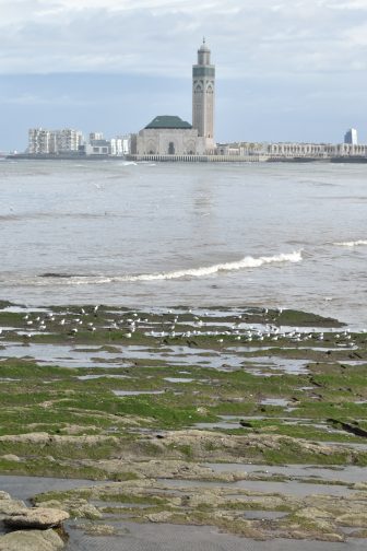 Casablanca 2025 (21)