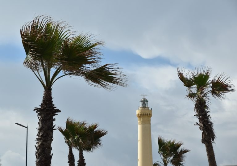 Casablanca 2025 (4) (カサブランカ)