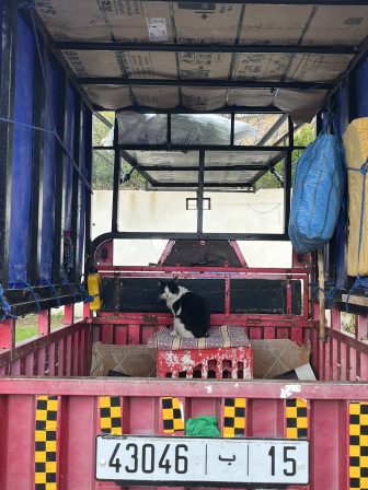 外側は青色のフェズのバブ・ブージュルード