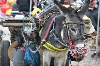 Marrakech 2025 (26)