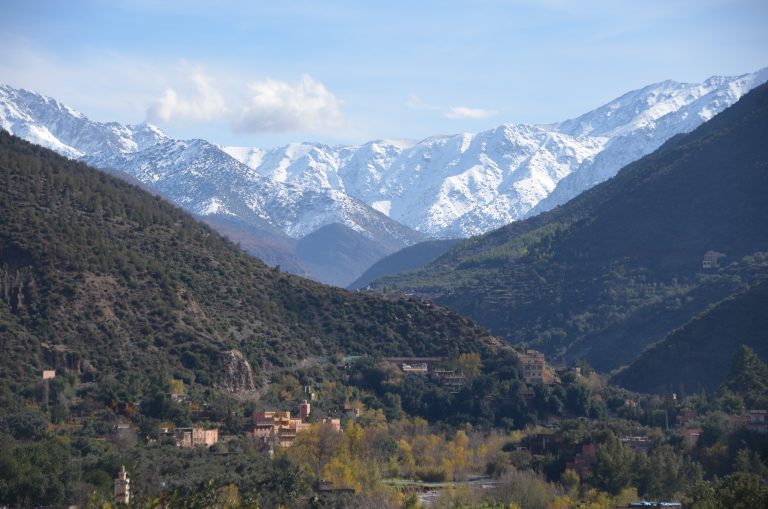 A disappointing excursion to the Ourika Valley