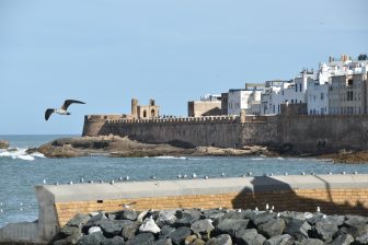 Essaouira 2026 (36)