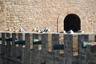 Essaouira 2026 (36)