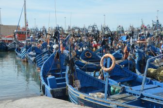 Essaouira 2026 (17)