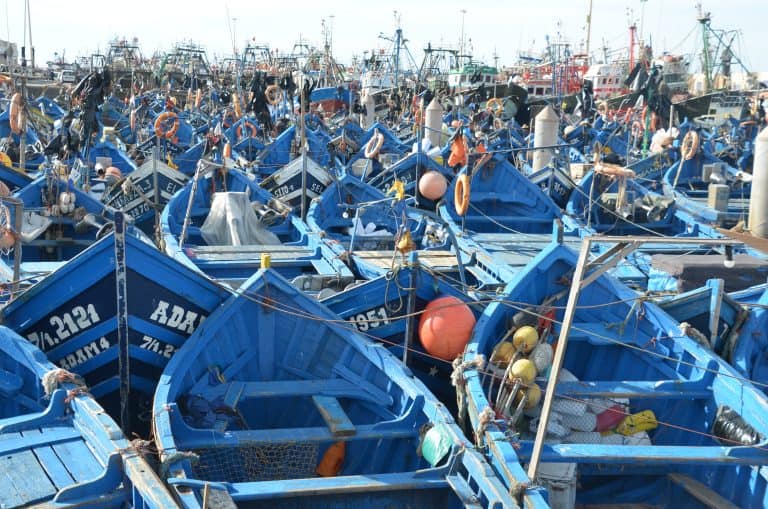 An astonishing number of boats