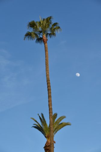 Marrakech 2025 (6)