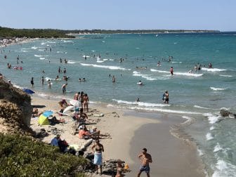 Swim in the sea, round one